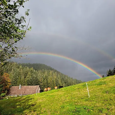 Holiday home Schwarzwald Erzgrube Badesee 100%