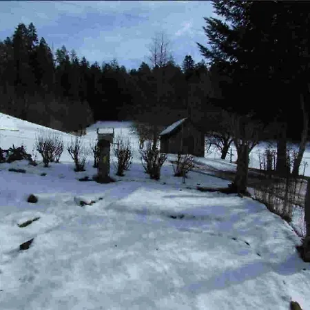 Holiday home Schwarzwald Erzgrube Badesee 100% *