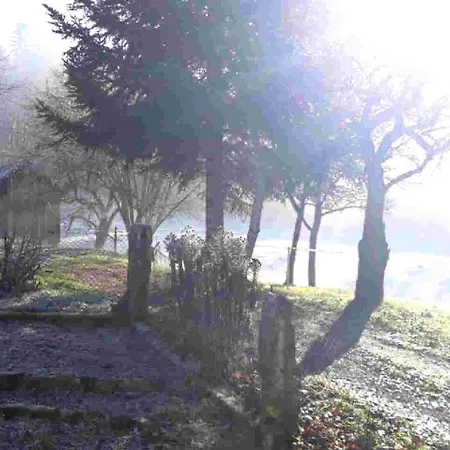 Schwarzwald Erzgrube Badesee 100% * Seewald