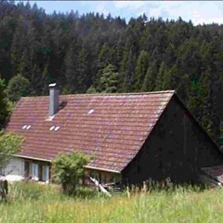 Schwarzwald Erzgrube Badesee 100% Seewald